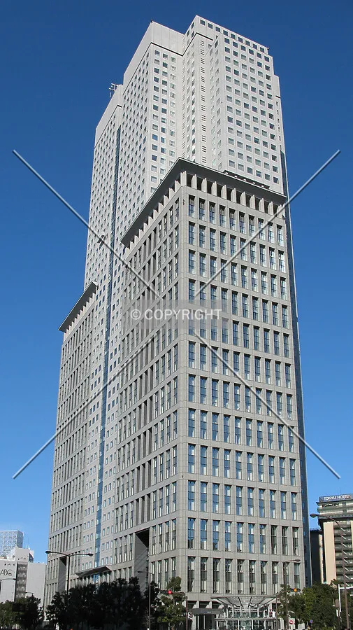 View from the south