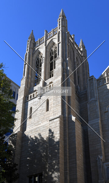 Photo 590-610-573