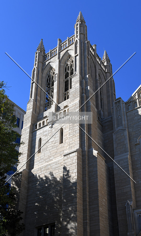 View from the east