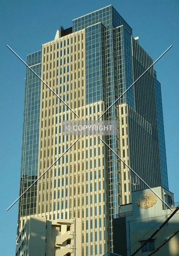 Photo 590-956-639