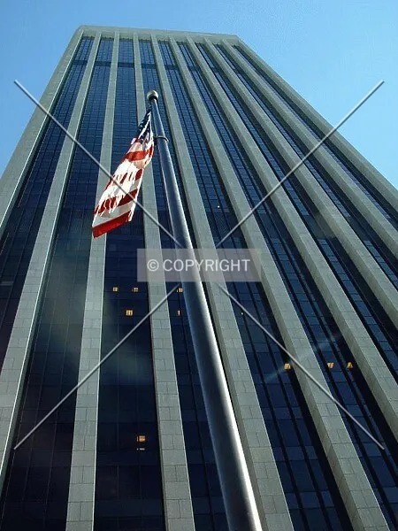 Photo 591-117-264