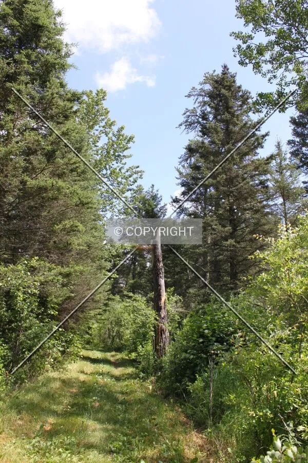 Riding Mountain National Park