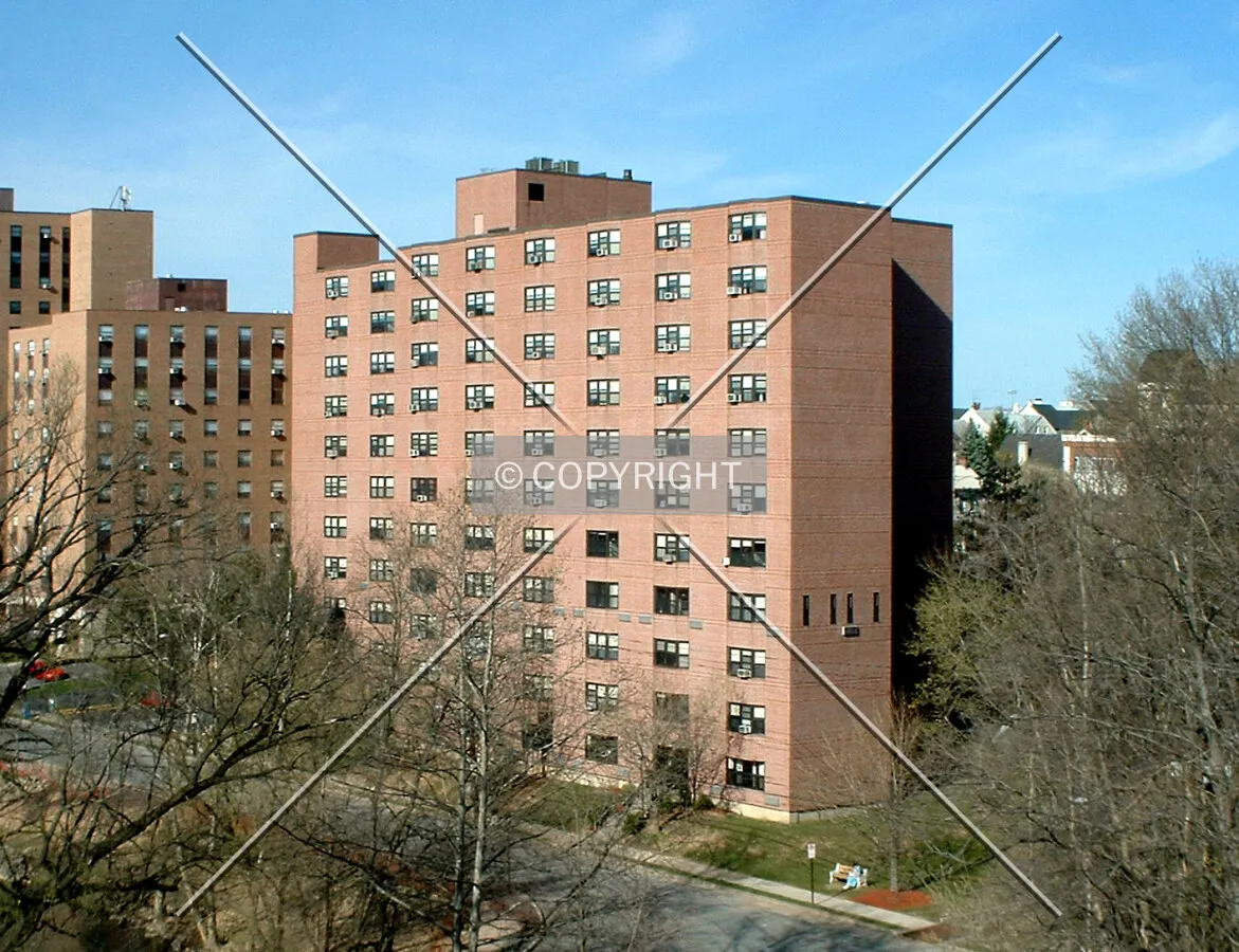 View from the southwest
