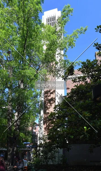Photo 592-042-958