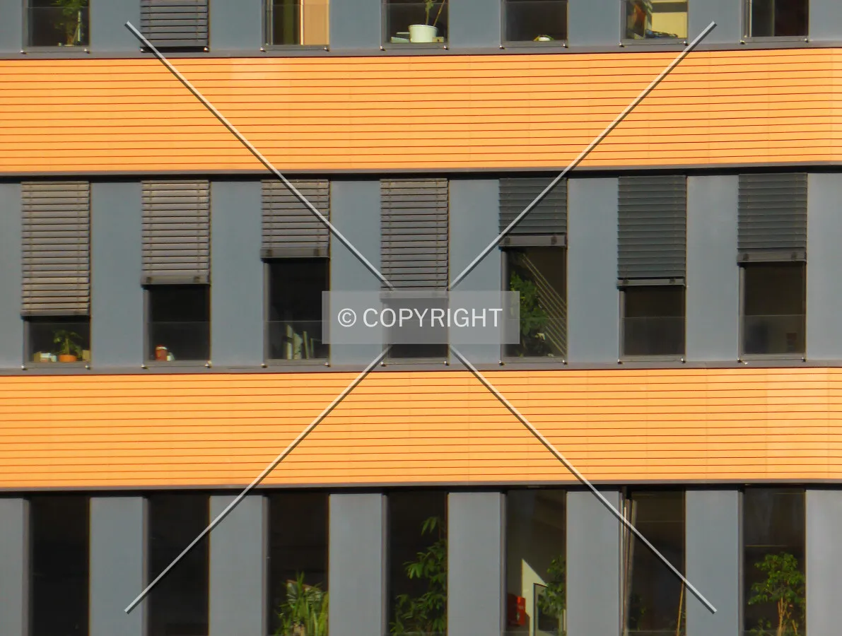 Photo 592-171-008