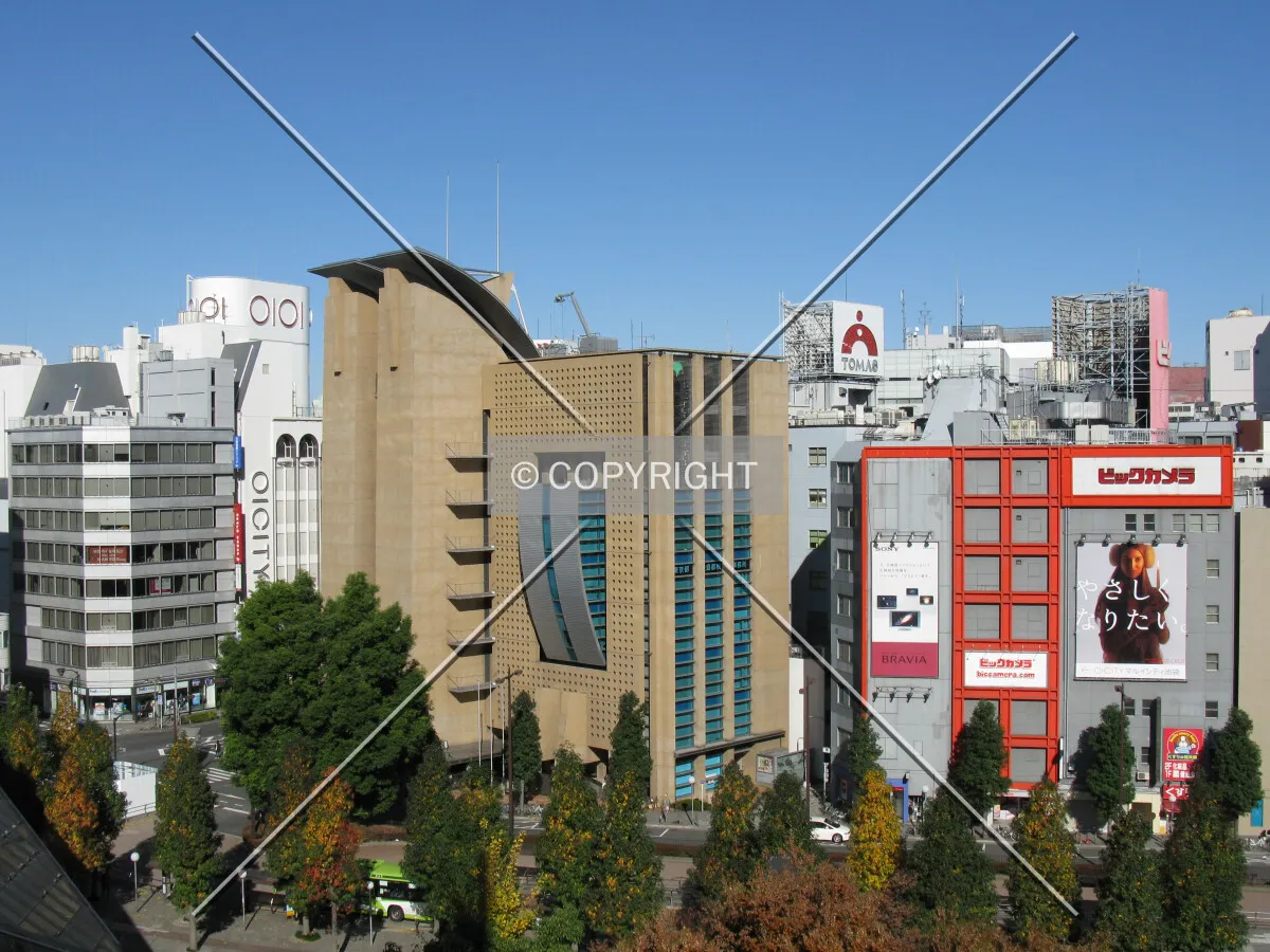 View from the west
