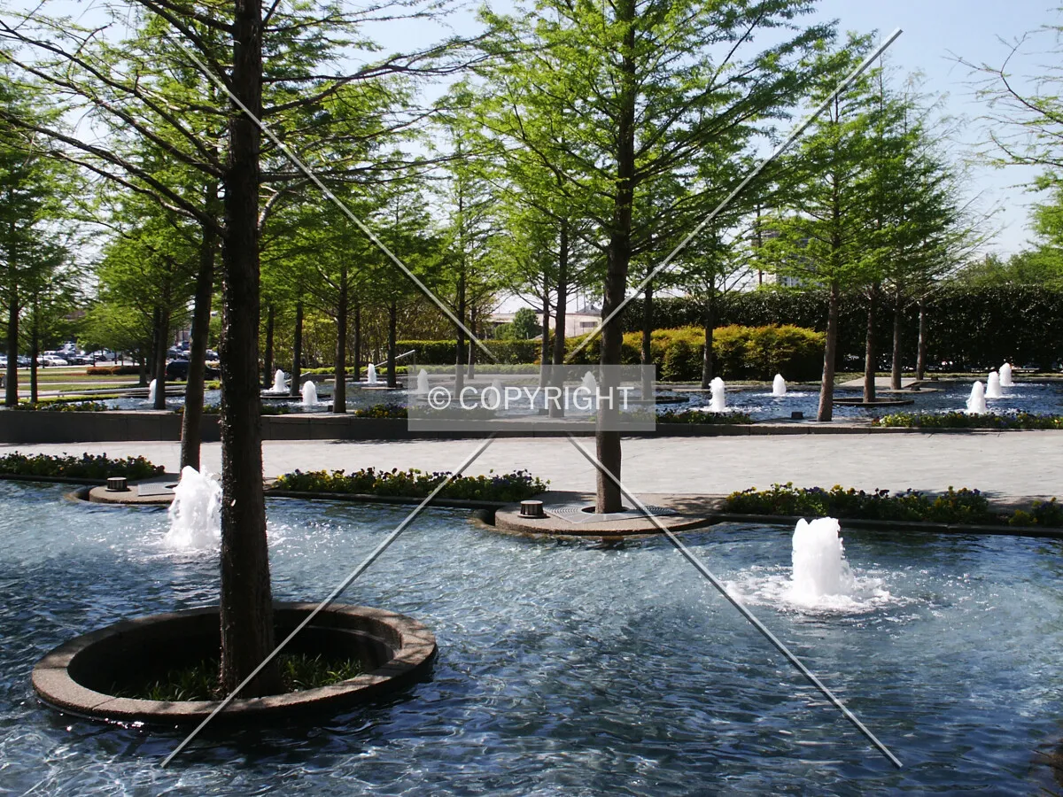 Looking north across the plaza