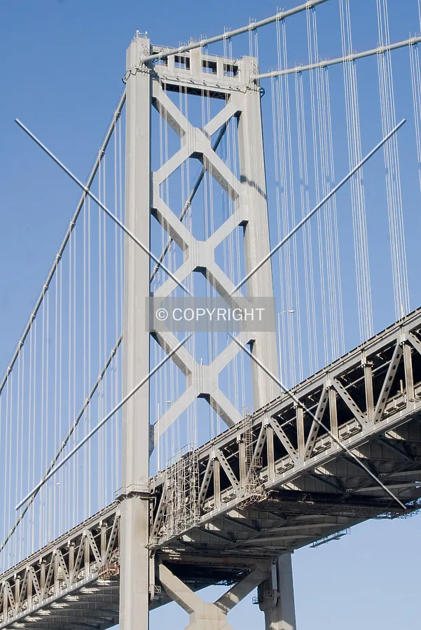 Photo 592-890-117