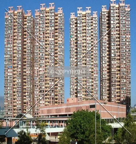 From Tsing King Road