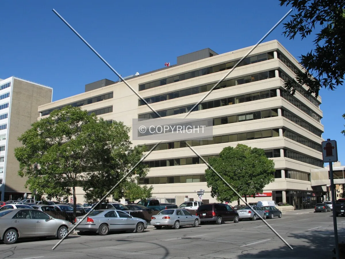 View from the southeast