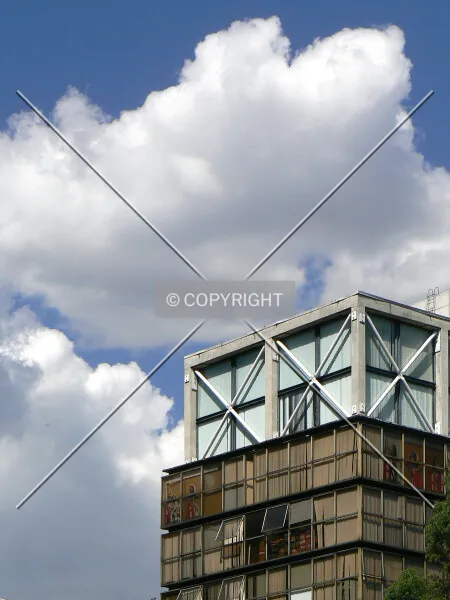 Photo 593-915-781