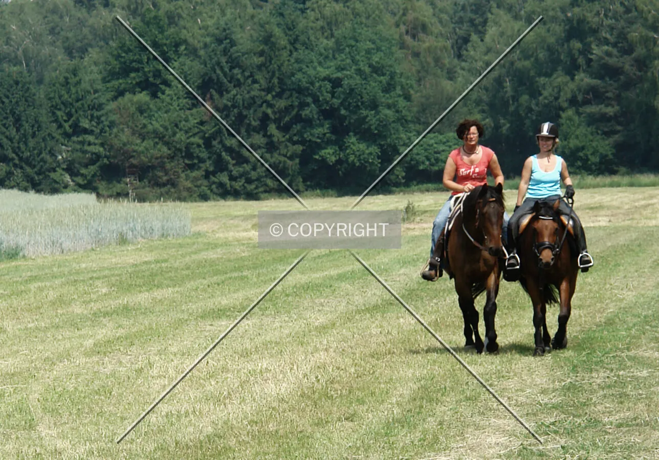 Two women riding on a horsepath