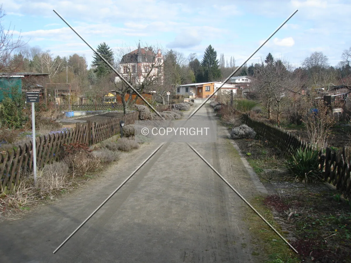 Photo 594-202-161