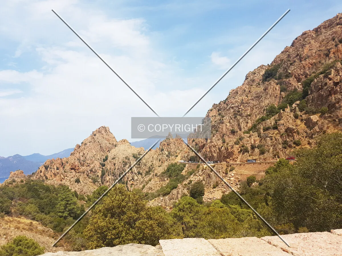 Photo 595-265-872