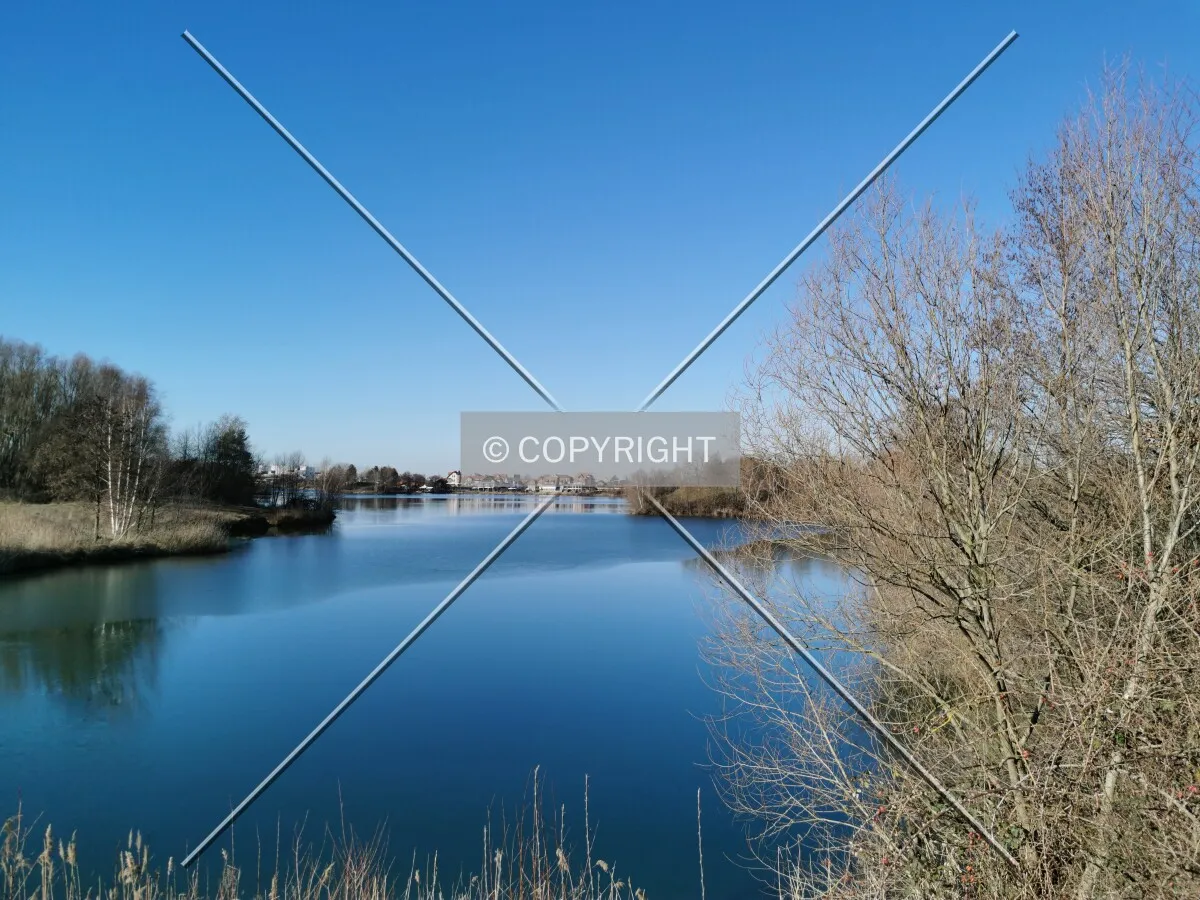 Photo 595-557-423