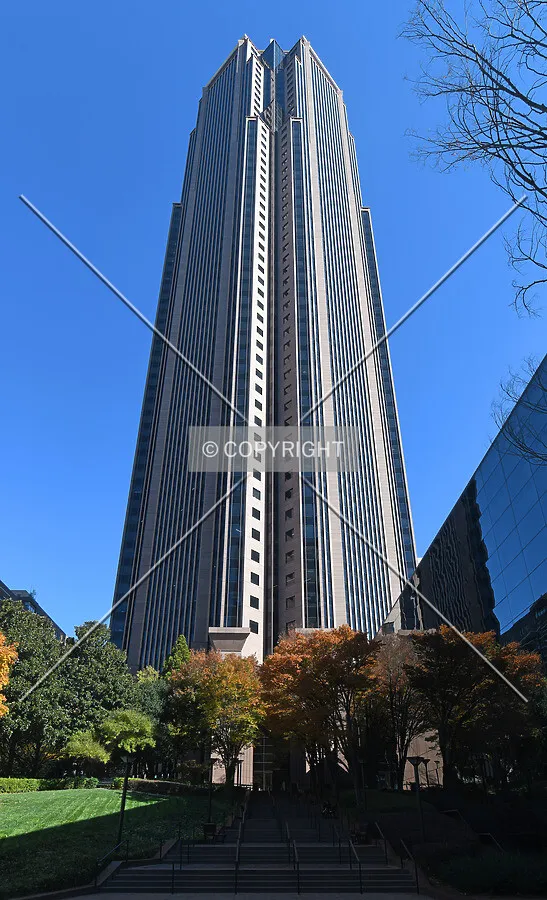 View from the west