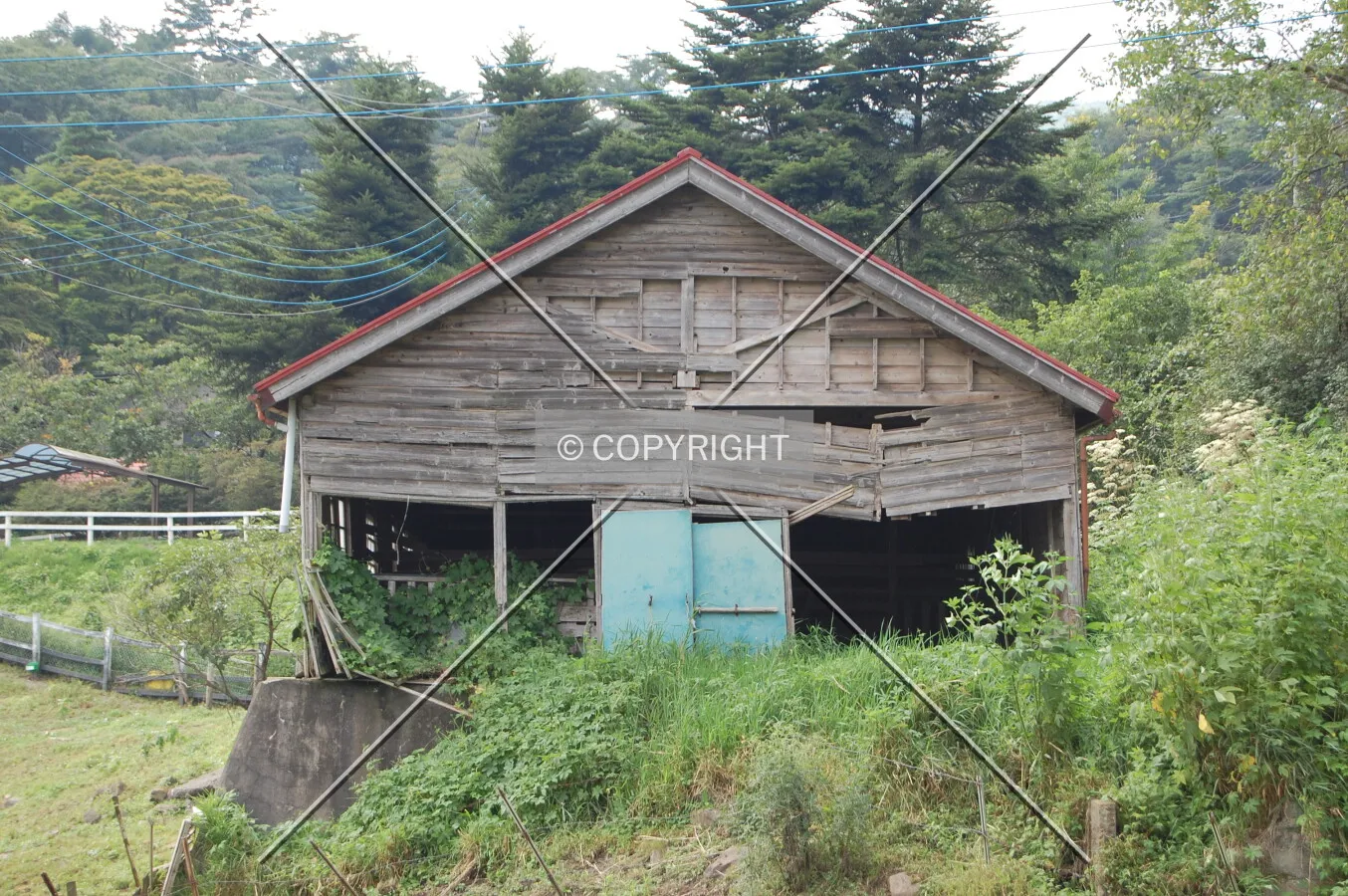 Photo 595-787-157
