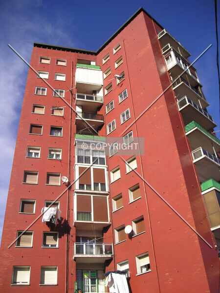 Photo 596-009-843