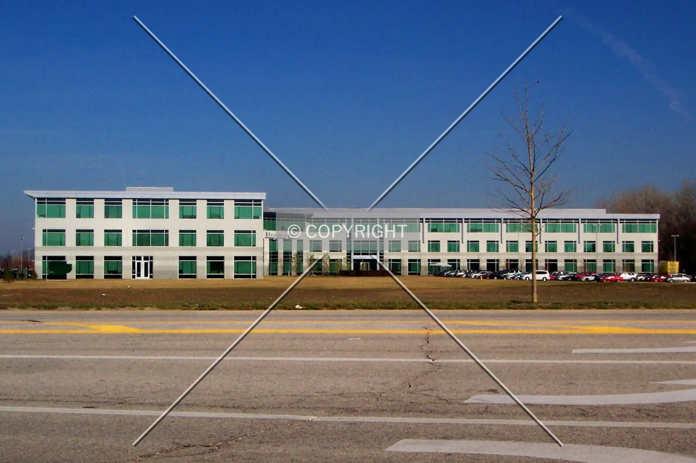 View from the southeast