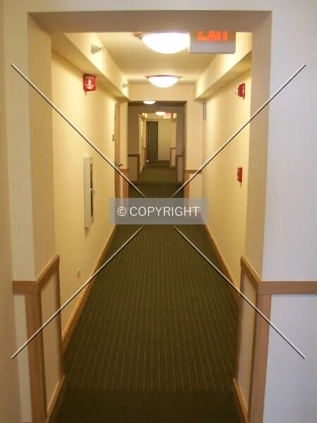 Photo 596-794-029