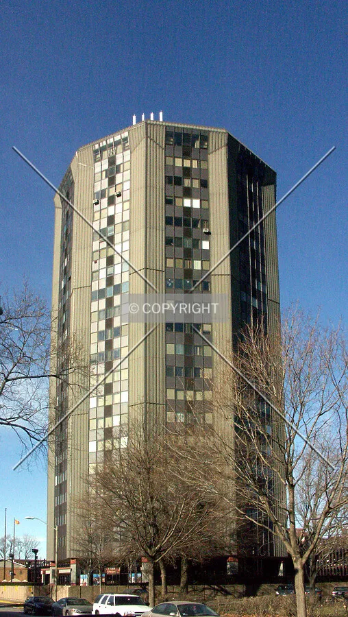 View from the east