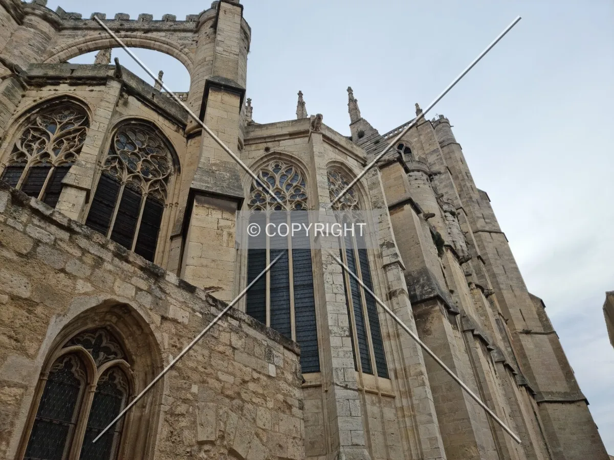 Photo 597-261-789