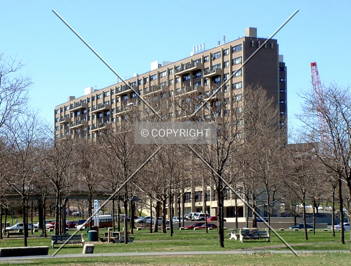 View from the northeast