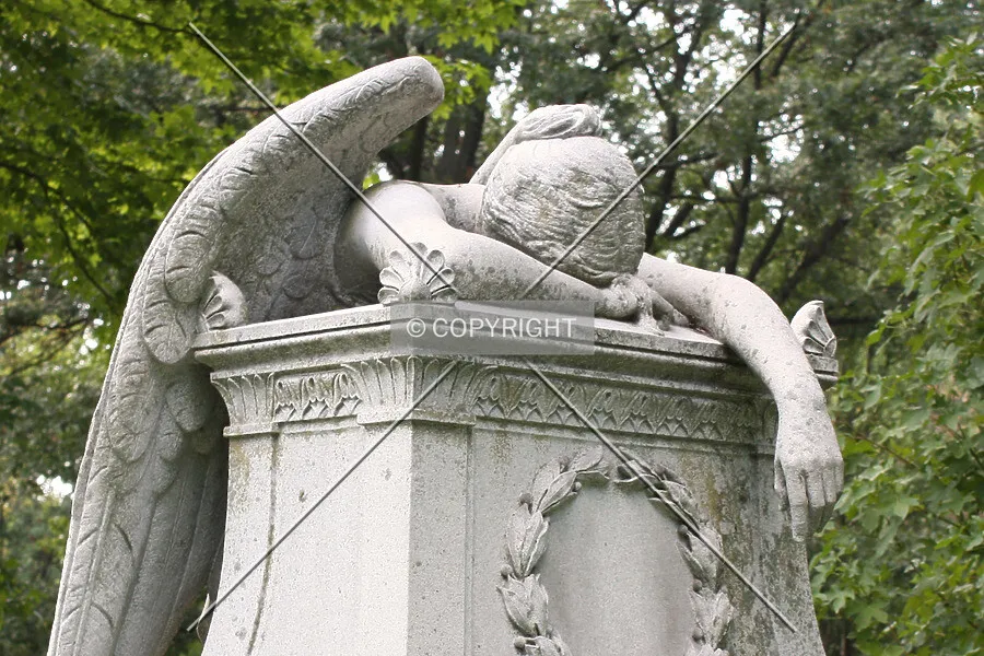 Photo 059-818-082