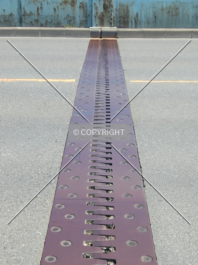 Expansion joint