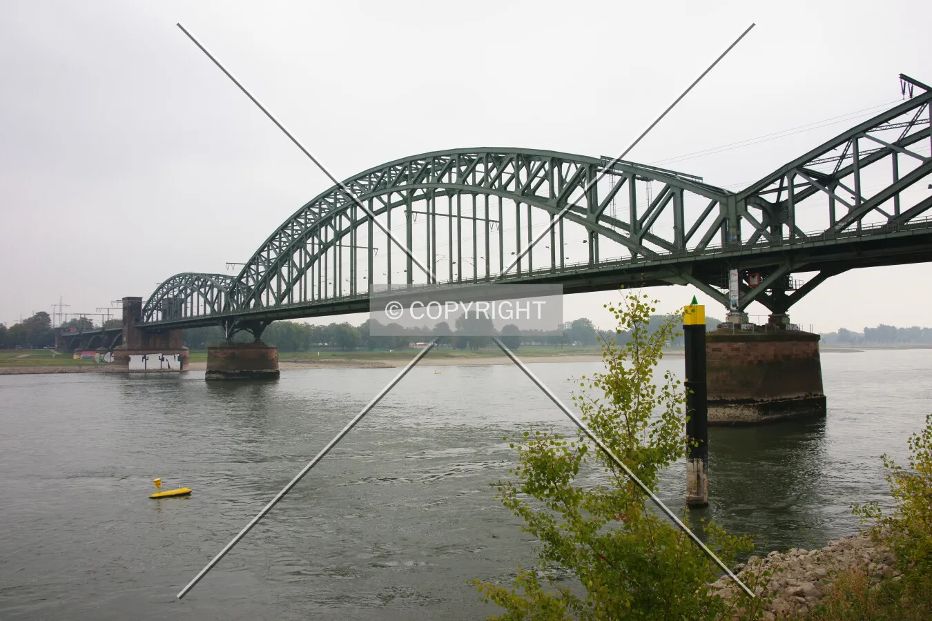 Photo 599-139-667