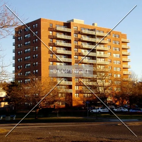View from the northwest