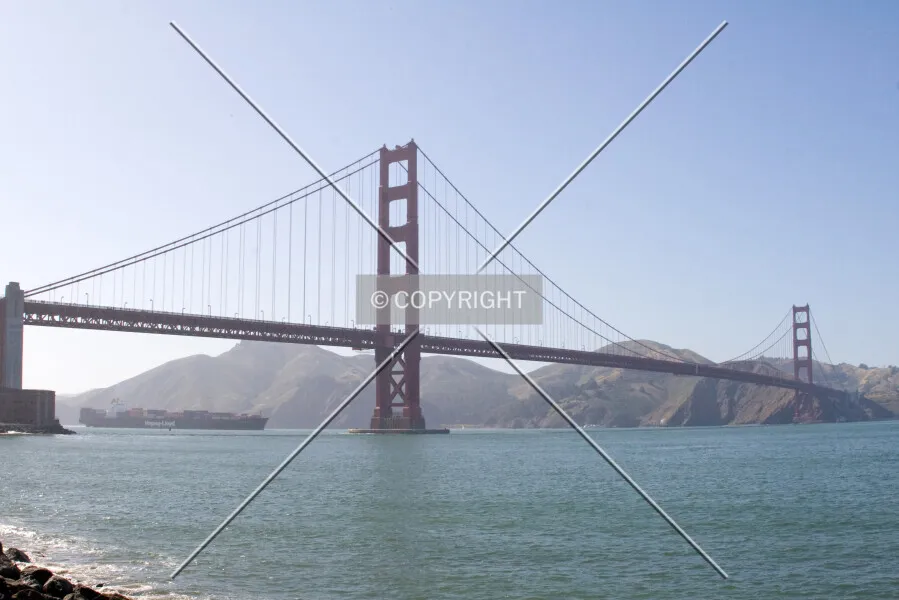 Photo 599-503-258