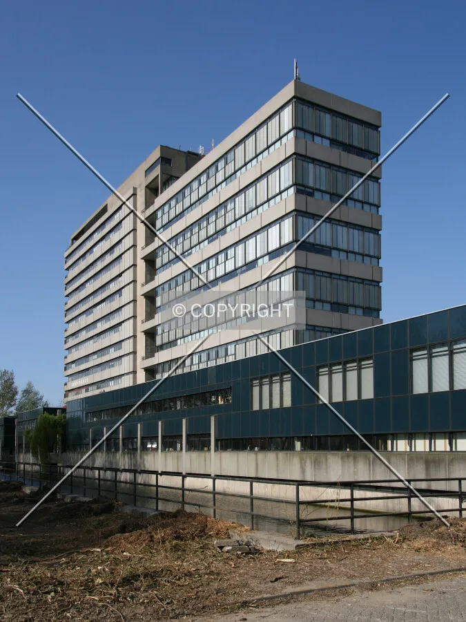 View from the south