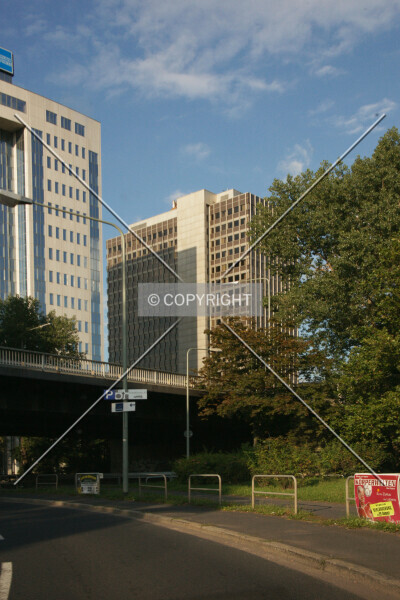 Photo 600-008-839
