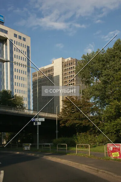 Photo 600-008-839