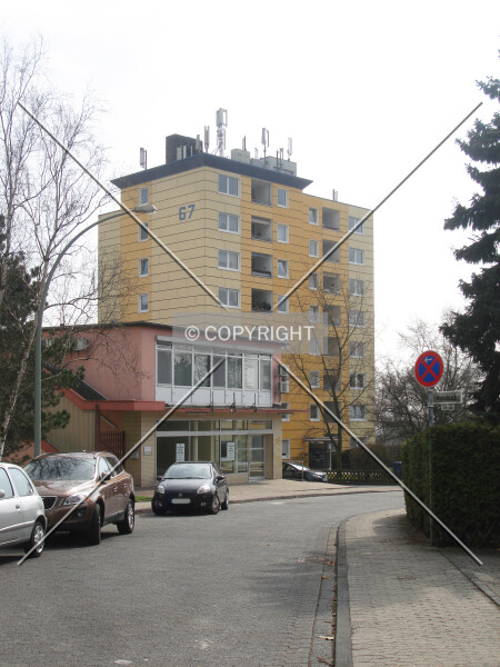 Mainblick 67
