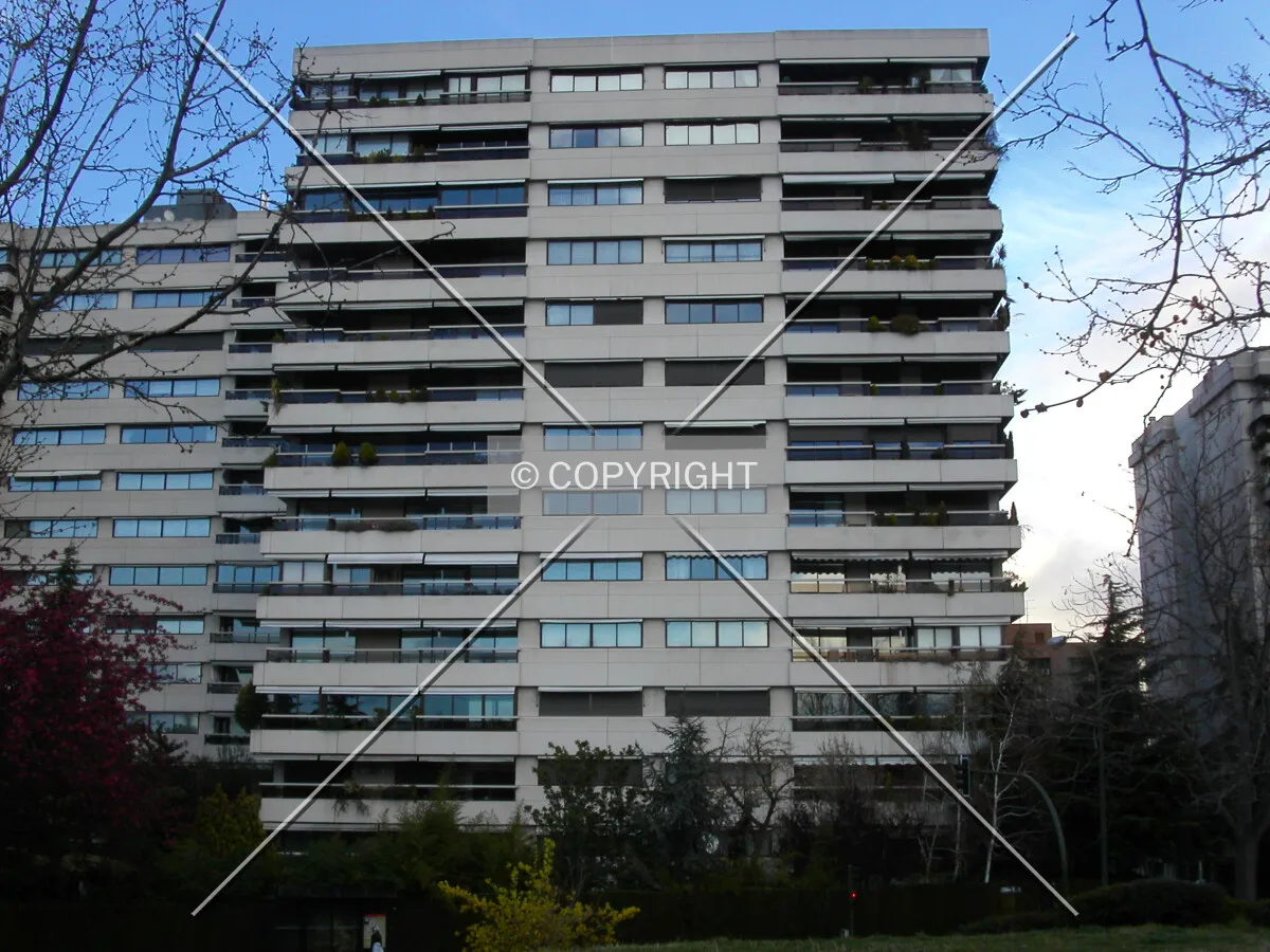 View from the south