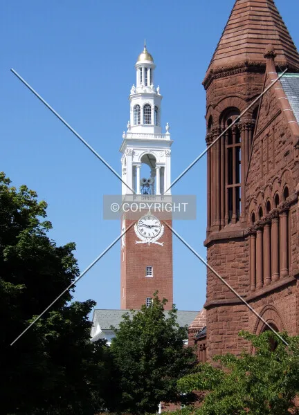 Photo 601-016-795