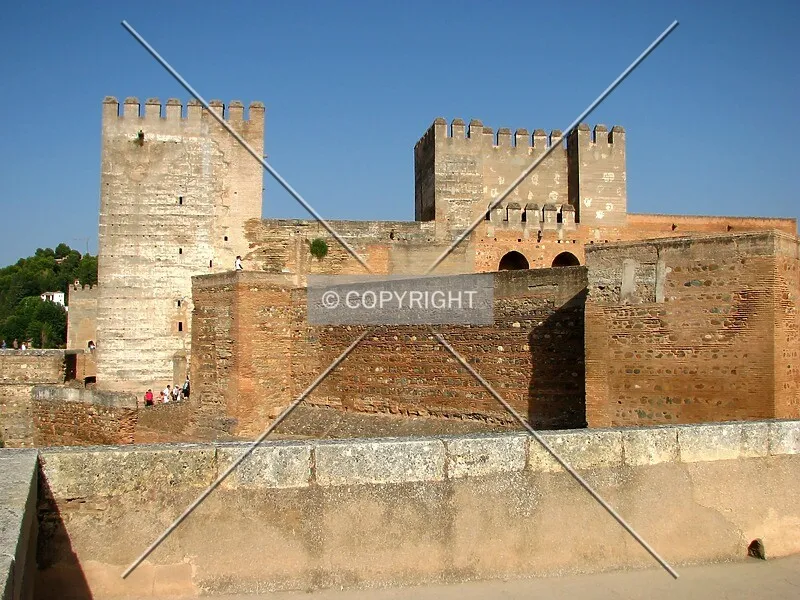 Photo 060-131-784