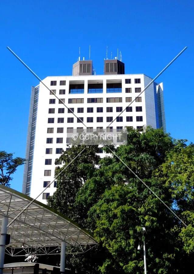 Looking up from the east