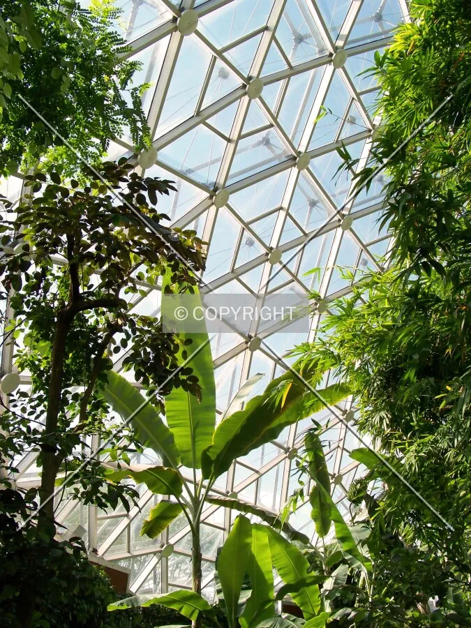View towards the ceiling; May 9, 2009