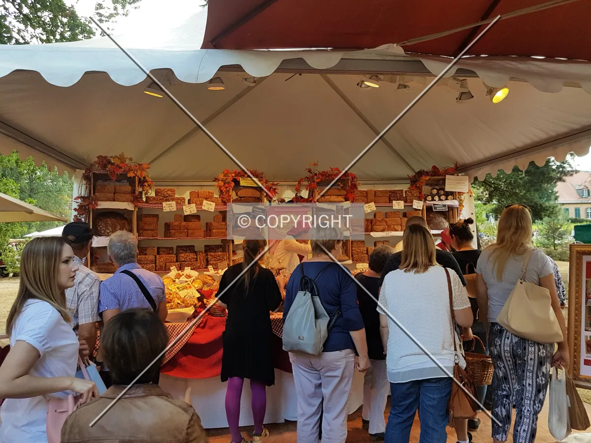 Schloß Wolfsgarten in 2018