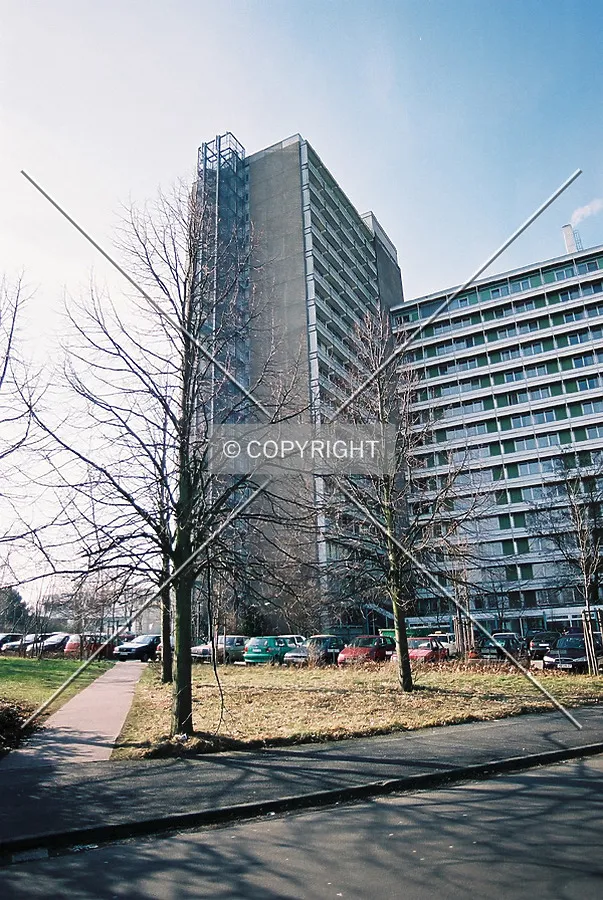 Left end of the complex