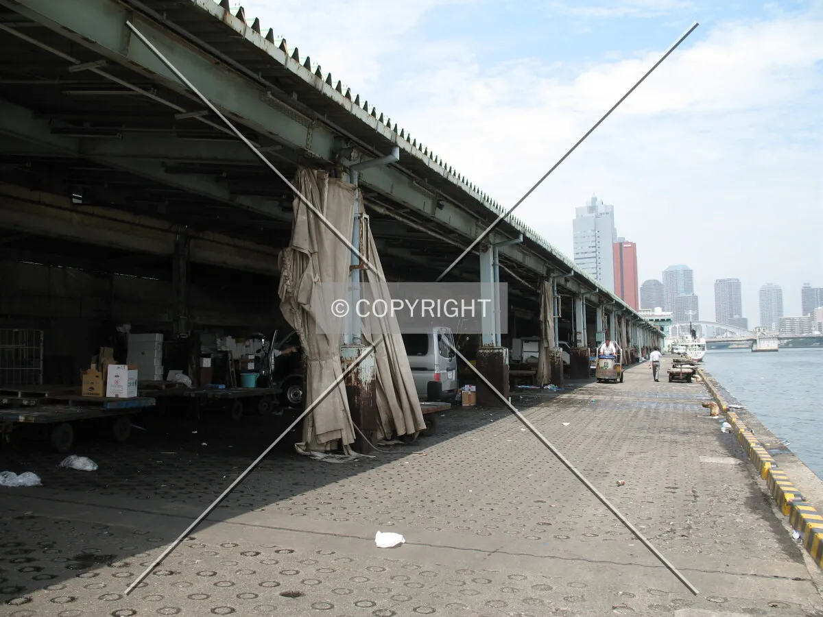 Photo 060-307-583