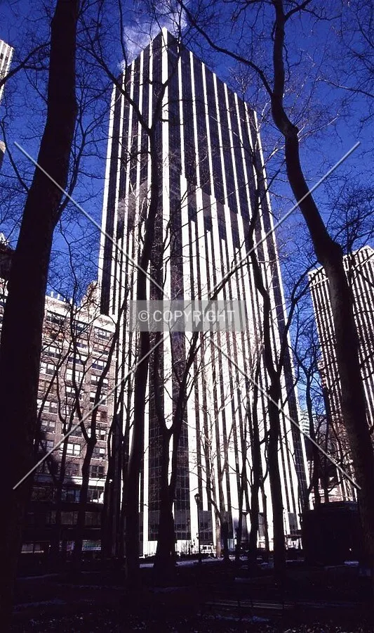 View from Bryant Park