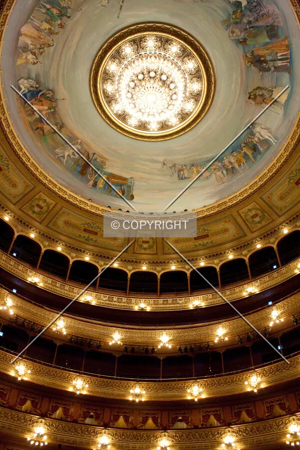View of the ceiling