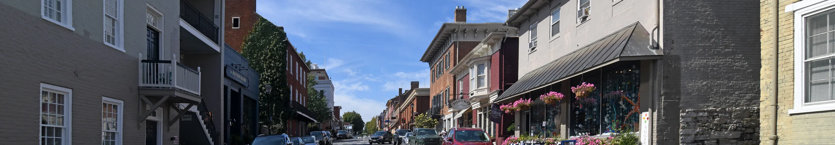 Panorama of Lexington