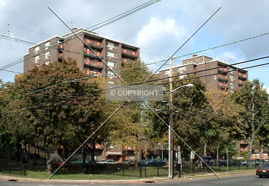 View from the south