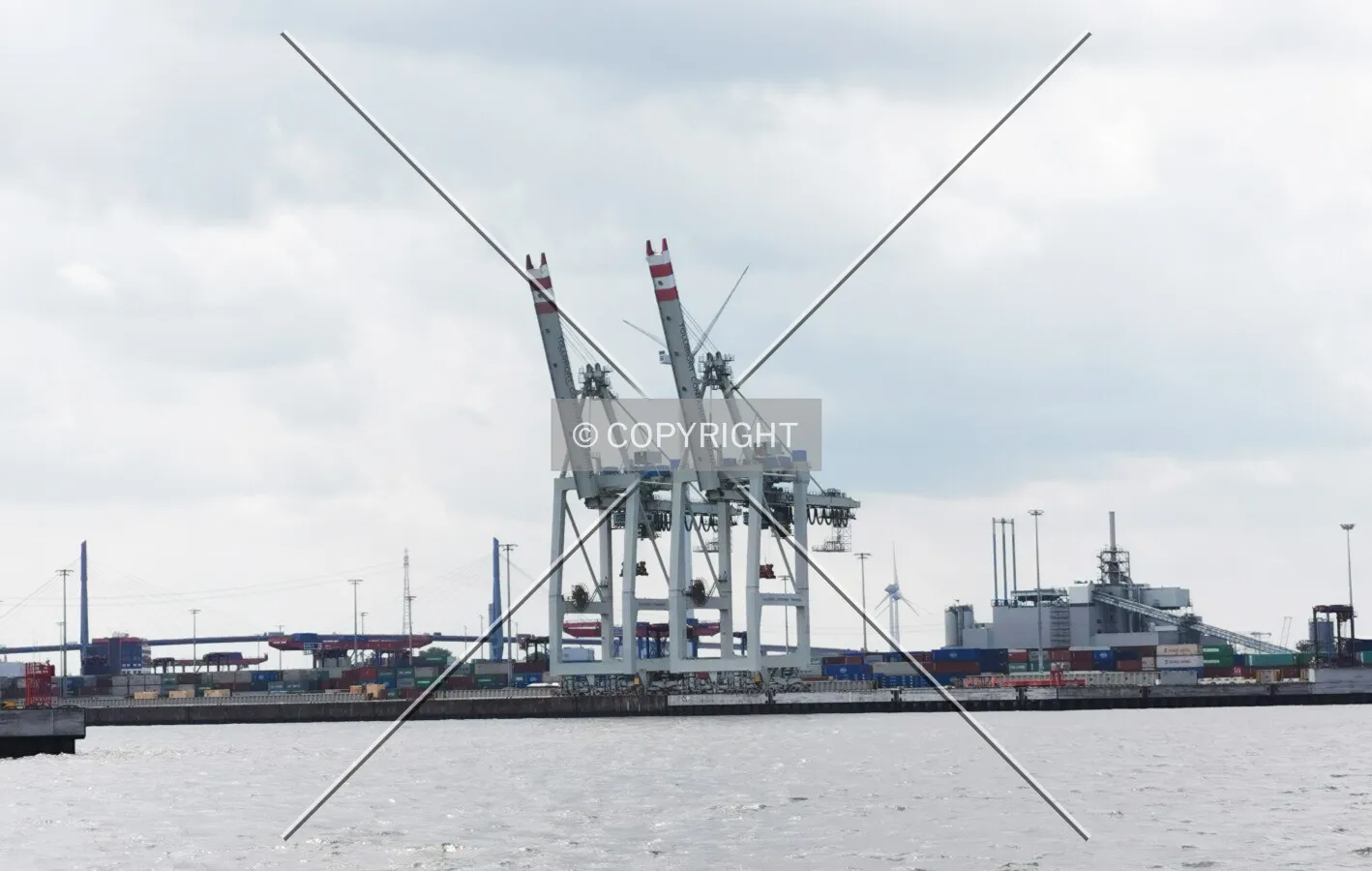 Cranes of Hamburg Tollerort