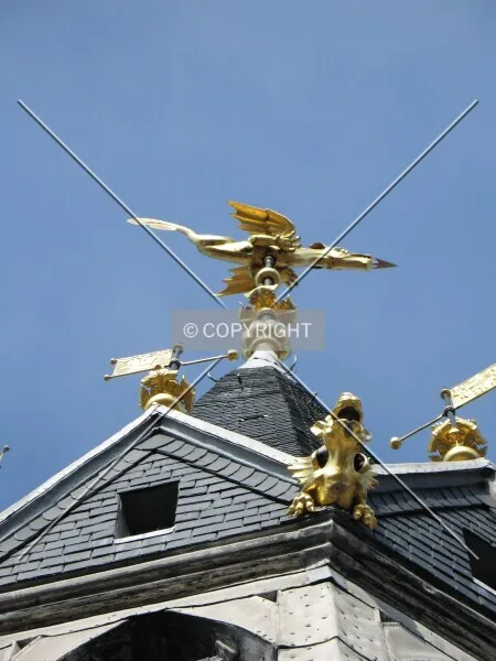 Photo 605-201-155